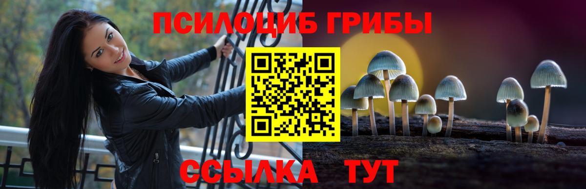 Нерюнгри  Псилоцибиновые грибы GOLDEN TEACHER  Псилоцибиновые грибы прущие грибы  Вход с VPN 